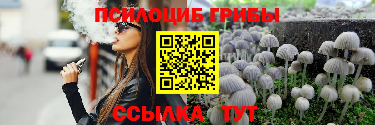 Добрянка  Псилоцибиновые грибы мицелий  Вход с VPN 